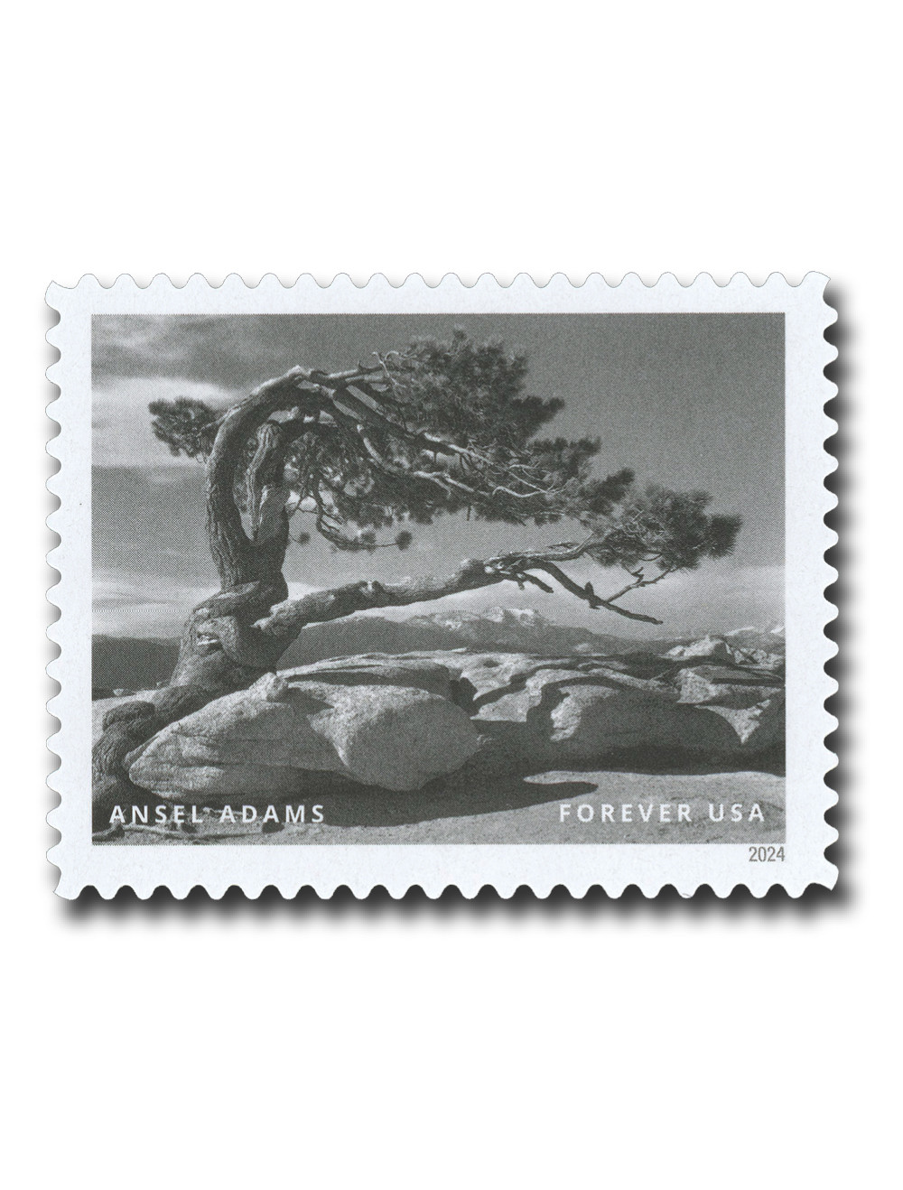 5854k - 2024 First-Class Forever Stamp - Photographs by Ansel