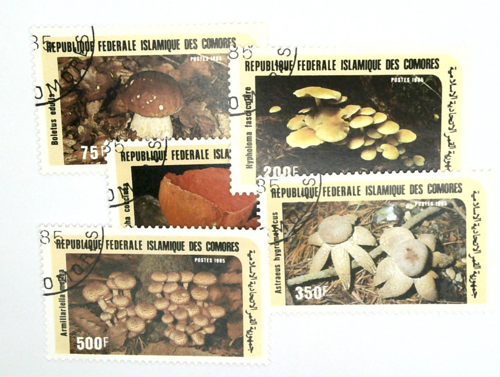 1520263 -- Used Canceled Stamp(s) -- Used Stamp(s)