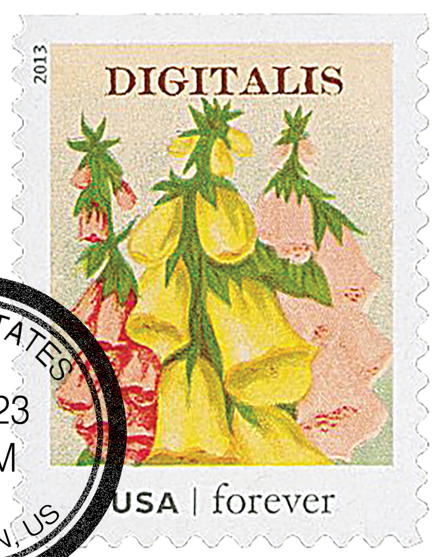 4756 - 2013 First-Class Forever Stamp - Vintage Seed Packets