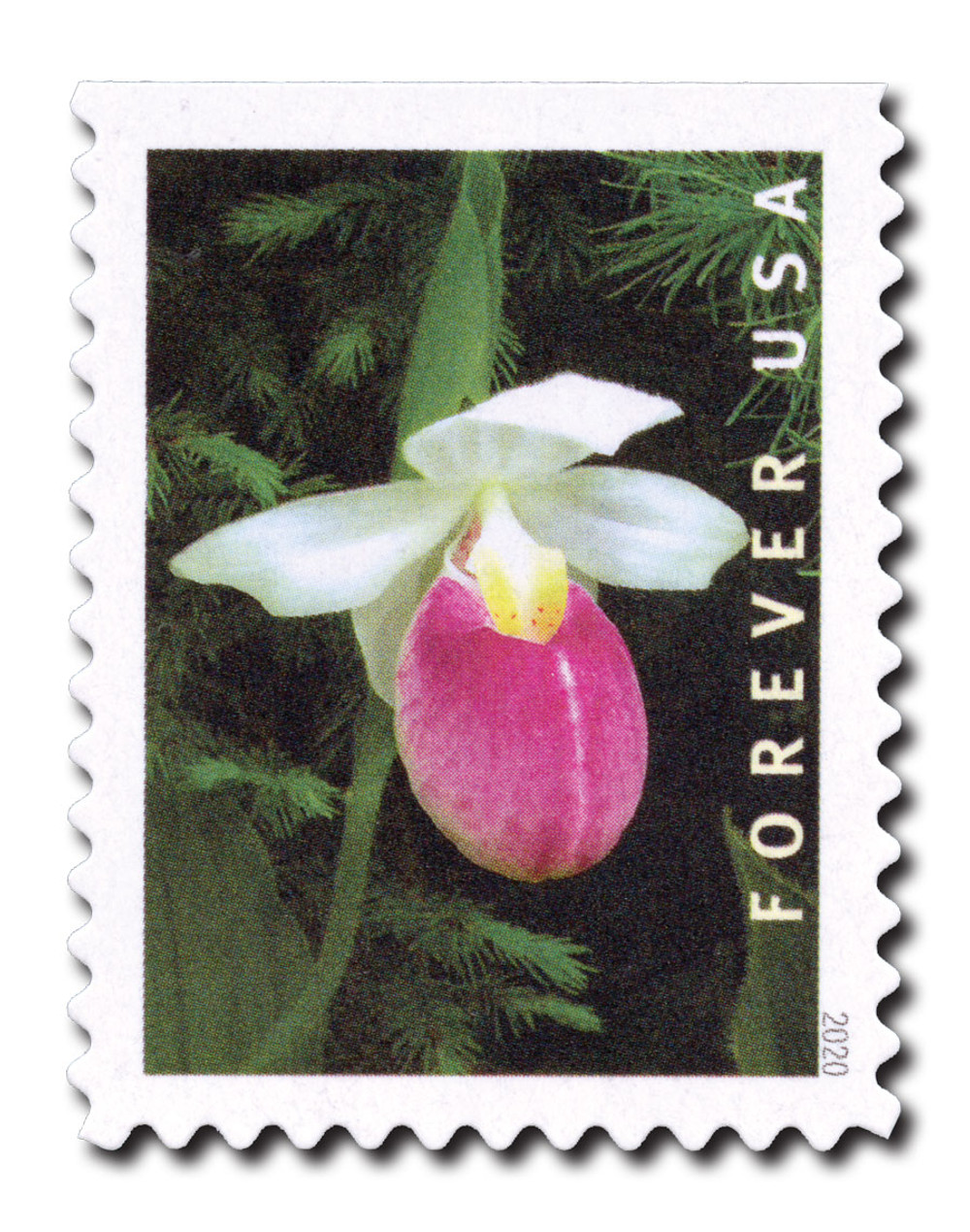 1079941 -- Mint Stamp(s) -- Mint Stamp(s)
