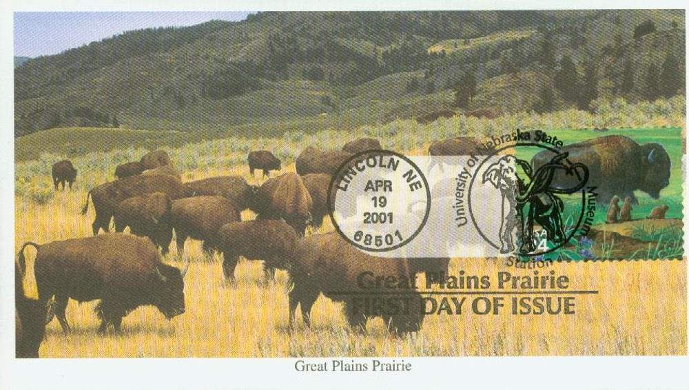 3506c - 2001 34c Great Plains Prairie: American Buffalo and