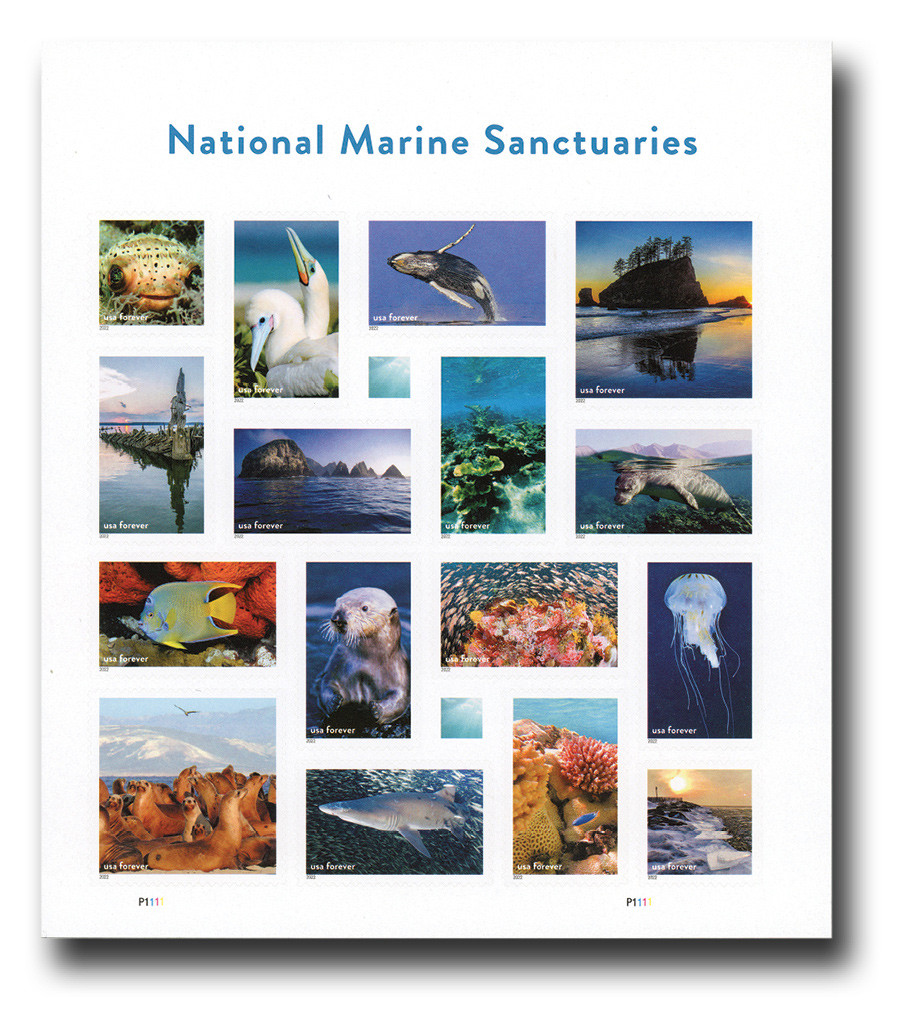 5713 - 2022 First-Class Forever Stamp - National Marine