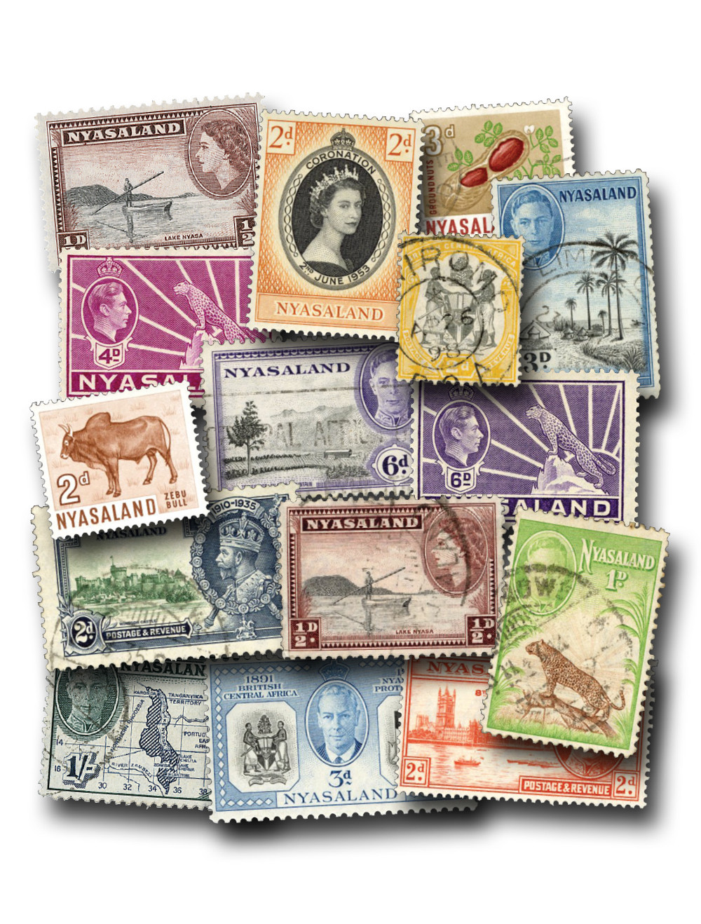 1556131 -- Miscellaneous
