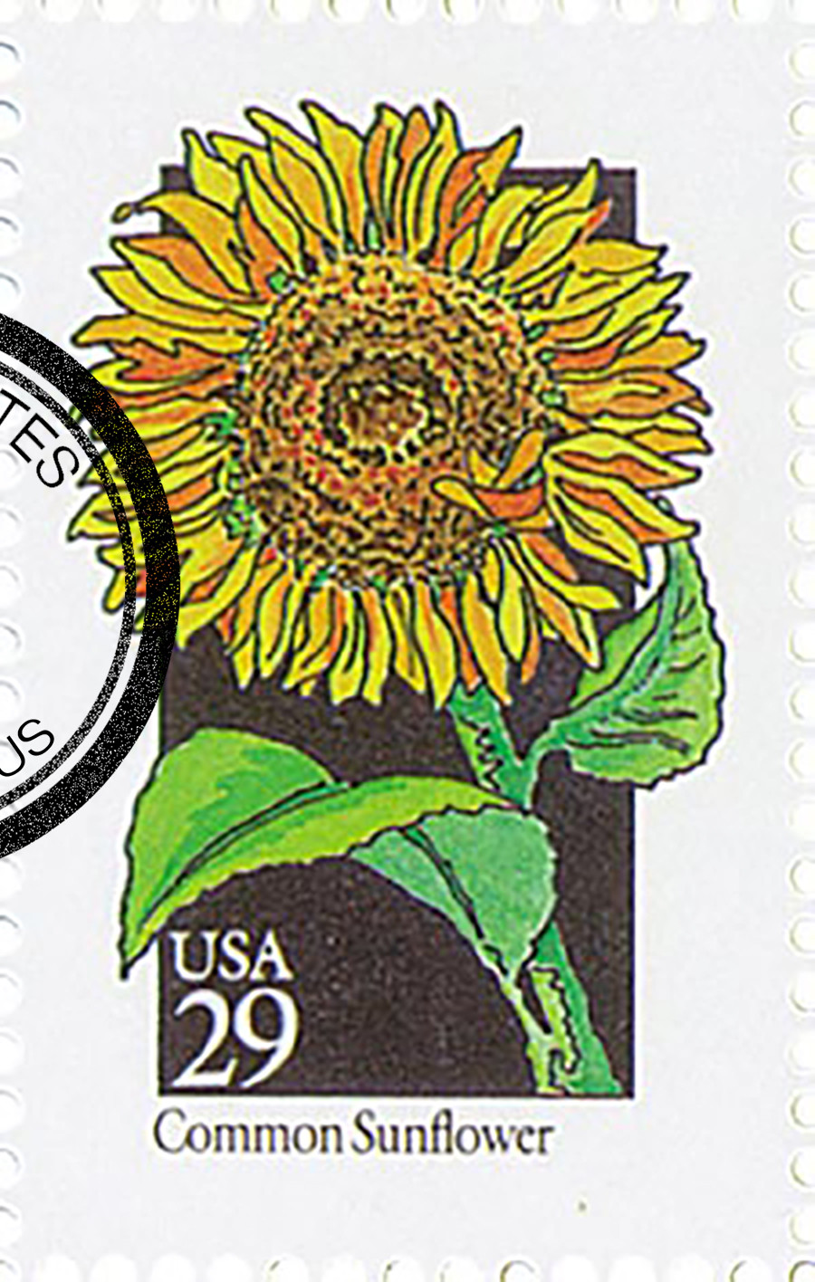 2666 - 1992 29c Wildflowers: Common Sunflower - Mystic Stamp Company