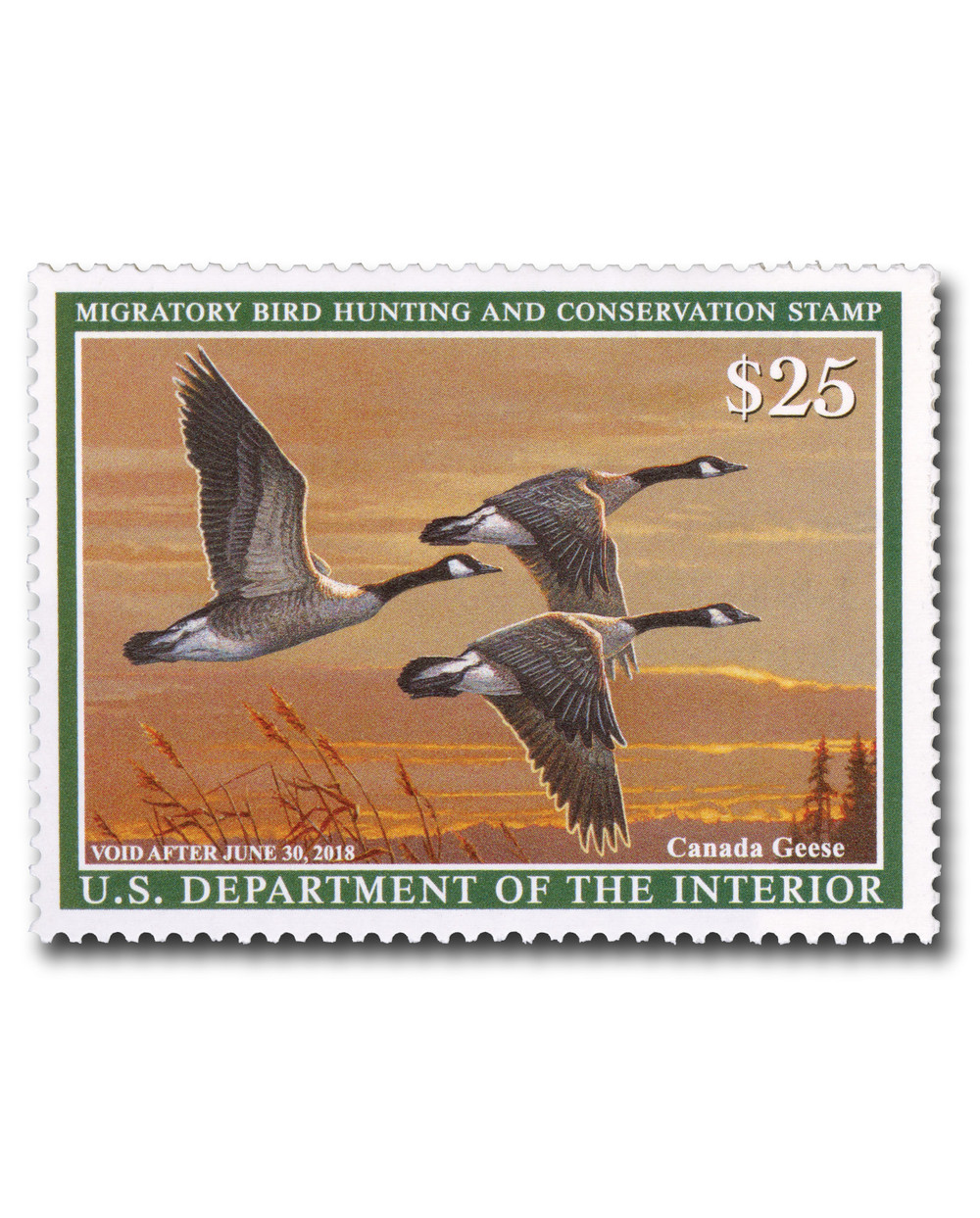 RW84 2017 $25 Federal Duck Stamp Canada Geese Hunting Permit