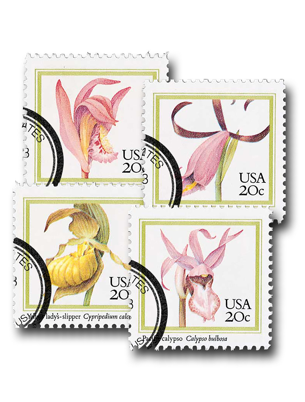 1950年代Turnerミッドセンチュリー リトグラフ プリント フラワー 1950