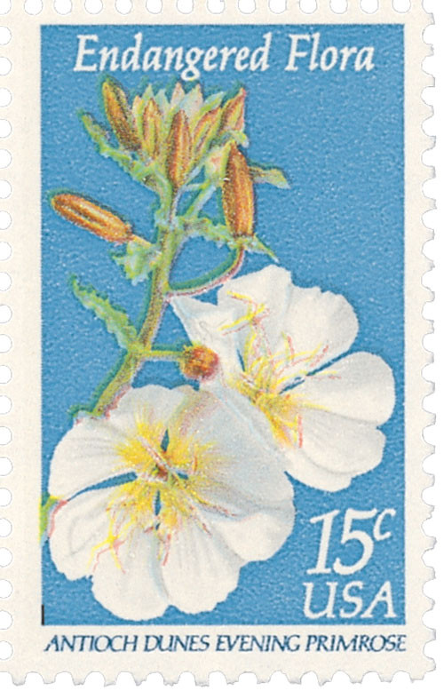 1786 - 1979 15c Endangered Flora: Evening Primrose - Mystic Stamp