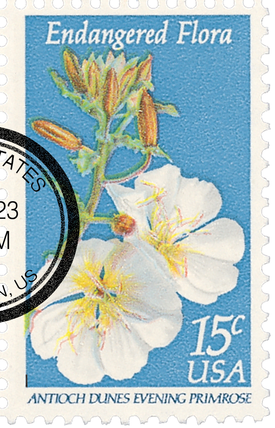 1786 - 1979 15c Endangered Flora: Evening Primrose - Mystic Stamp