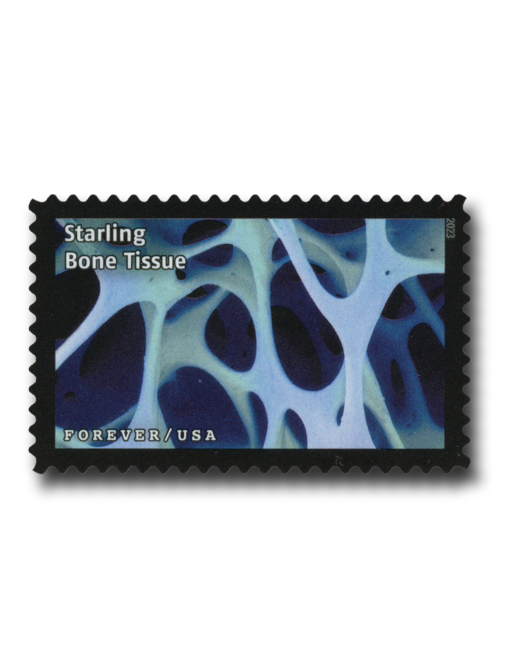 記念グッズ DeNA Baystars Memorial Stamp Collection 4822/4988a - 2013-15 Medal of Honor, collection of 7 stamps