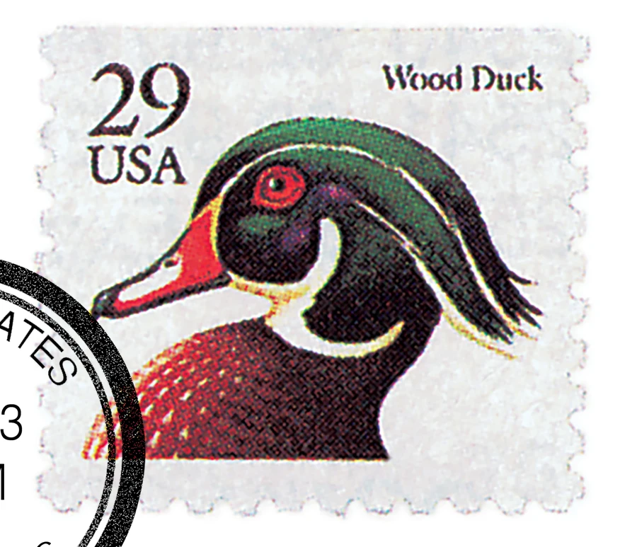 2484 - 1991 29c Flora & Fauna Series: Wood Duck, Black - Mystic