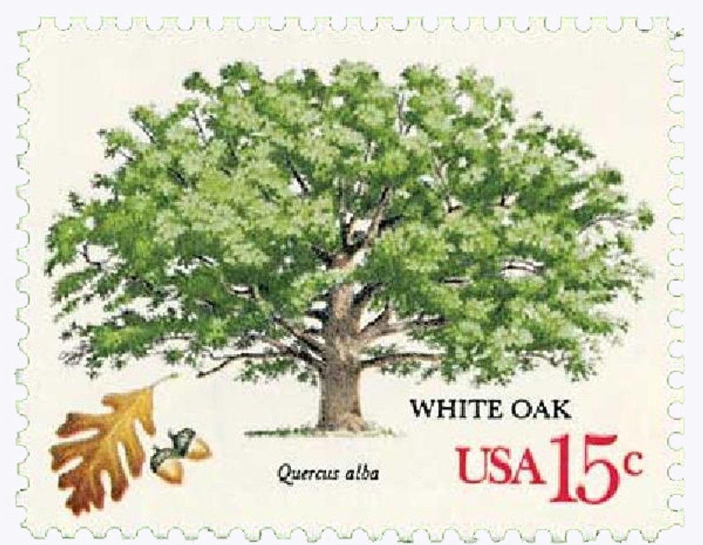 307109 -- Mint Stamp(s) -- Mint Stamp(s)