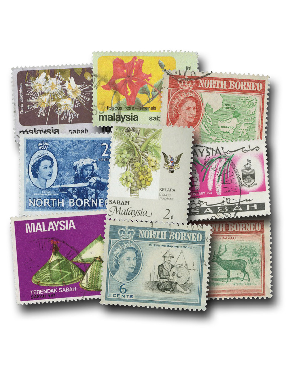 1556126 -- Miscellaneous