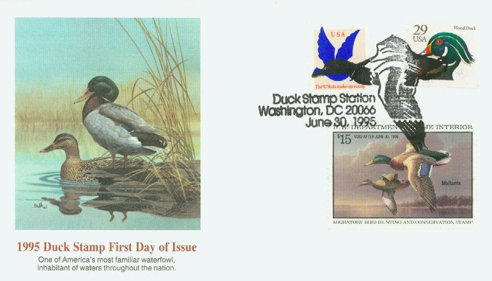 RW62 - 1995 $15.00 Federal Duck Stamp - Mallards in Flight