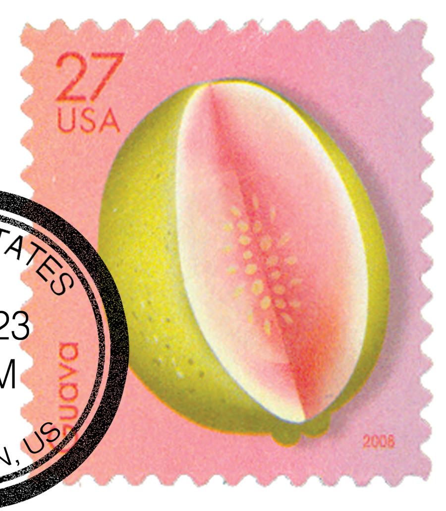 4257 - 2008 27c Tropical Fruit: Guava - Mystic Stamp Company
