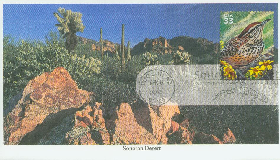 3293a - 1999 33c Sonoran Desert: Cactus Wren - Mystic Stamp Company