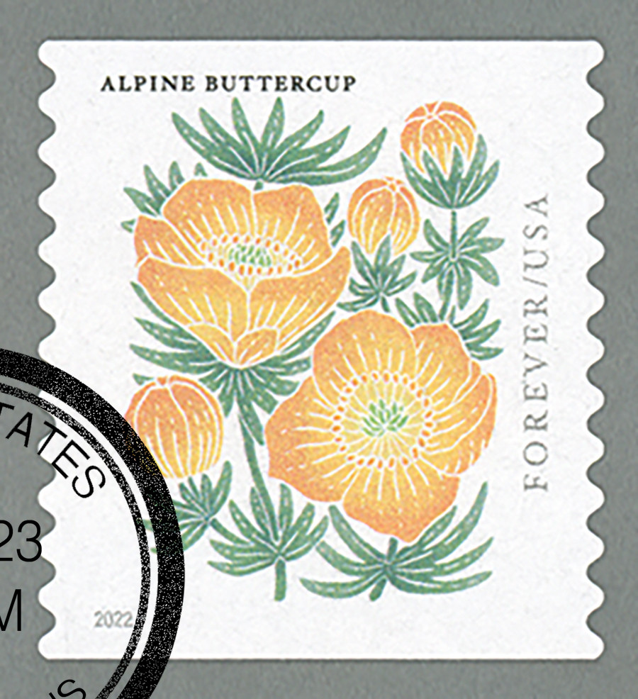 5673 - 2022 First-Class Forever Stamp - Mountain Flora (coil
