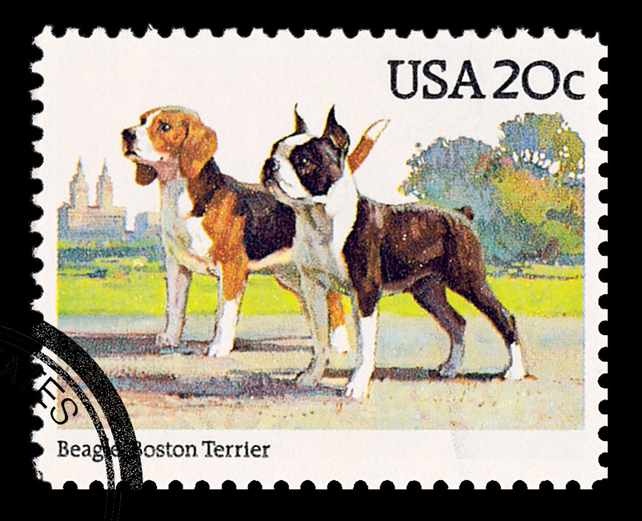 2098 1984 20c Dogs: Beagle Boston Terrier Mystic Stamp Company