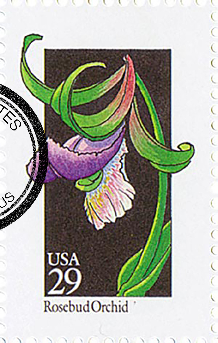 トップス Soorploom Essential Rosebud Print 12y トップス Soorploom Essential Rosebud Print 12y トップス Soorploom