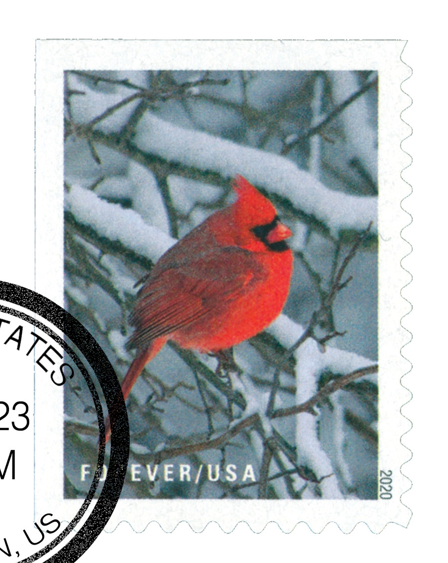 5533 - 2020 First-Class Forever Stamps - Winter Scenes: Cardinal
