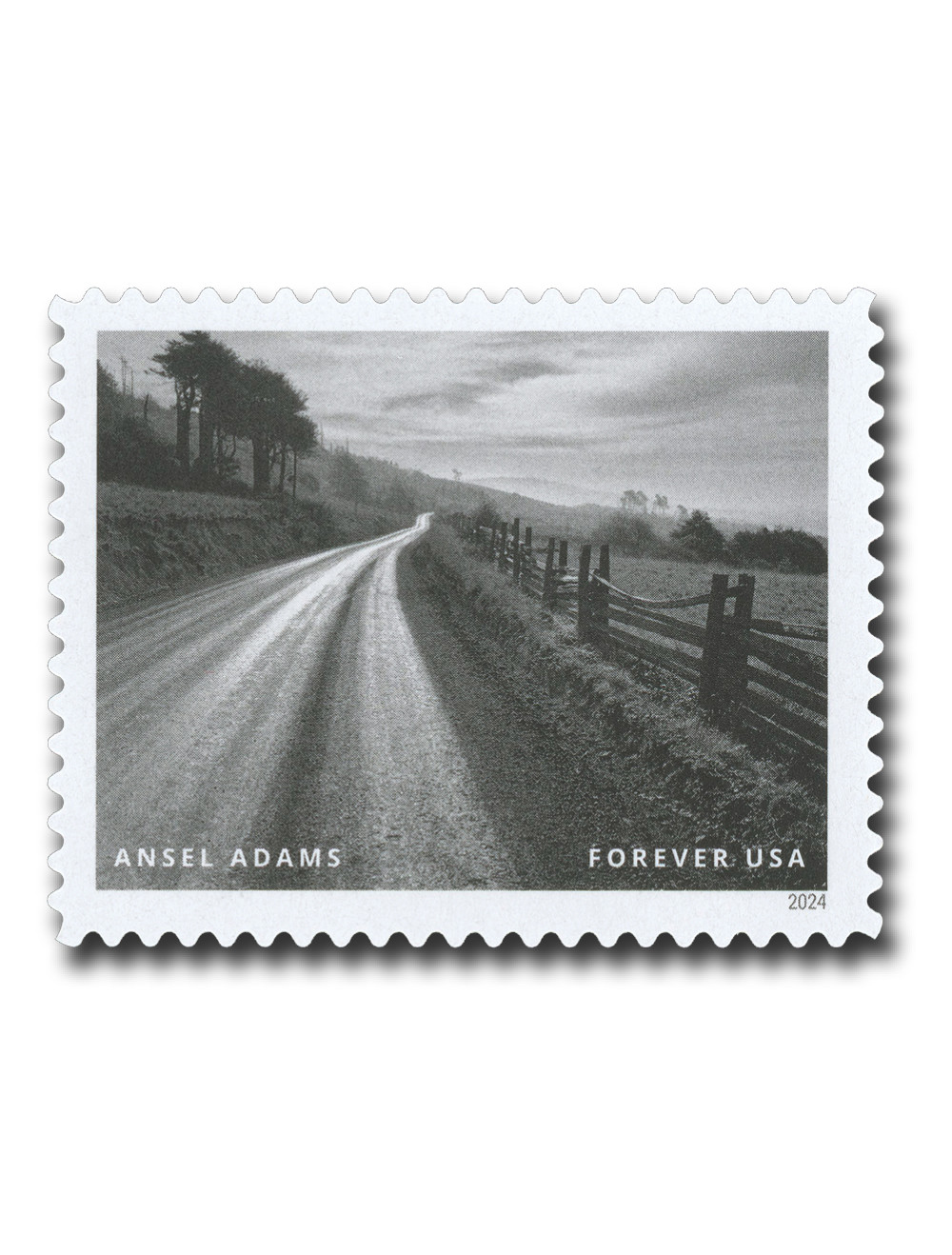1566027 -- Mint Stamp(s) -- Mint Stamp(s)
