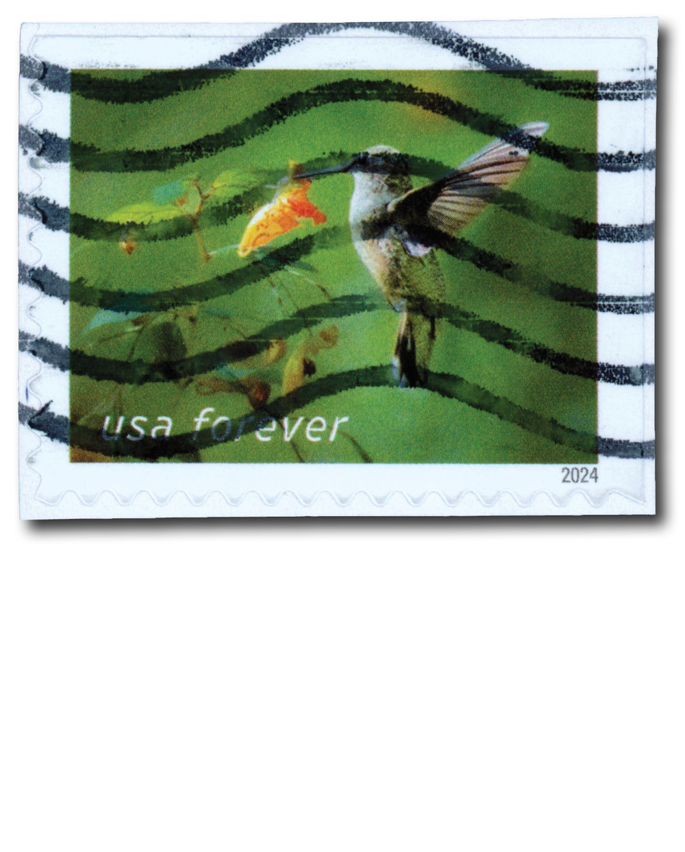 5846 - 2024 First-Class Forever Stamp - Ruby-throated Hummingbird