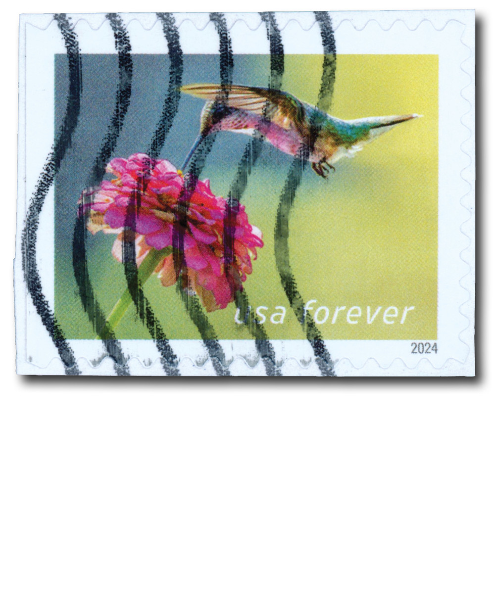 5847 - 2024 First-Class Forever Stamp - Ruby-throated Hummingbird