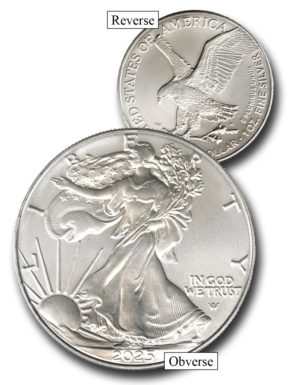 CNSE25 - 2025 $1 American Silver Eagle - Mystic Stamp Company