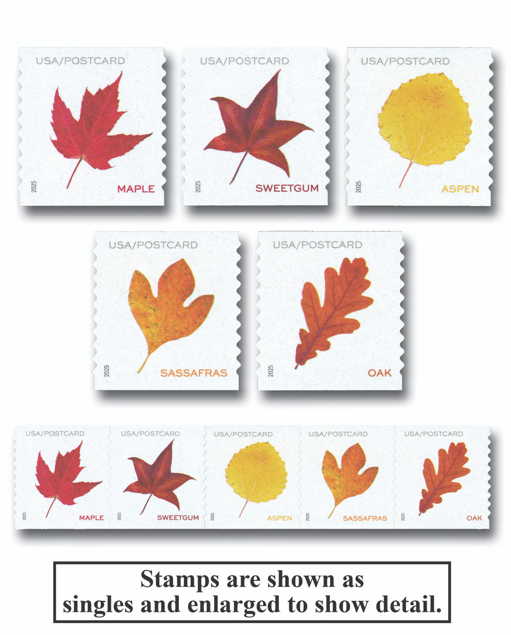 1633896 -- Mint Stamp(s) -- Mint Stamp(s)