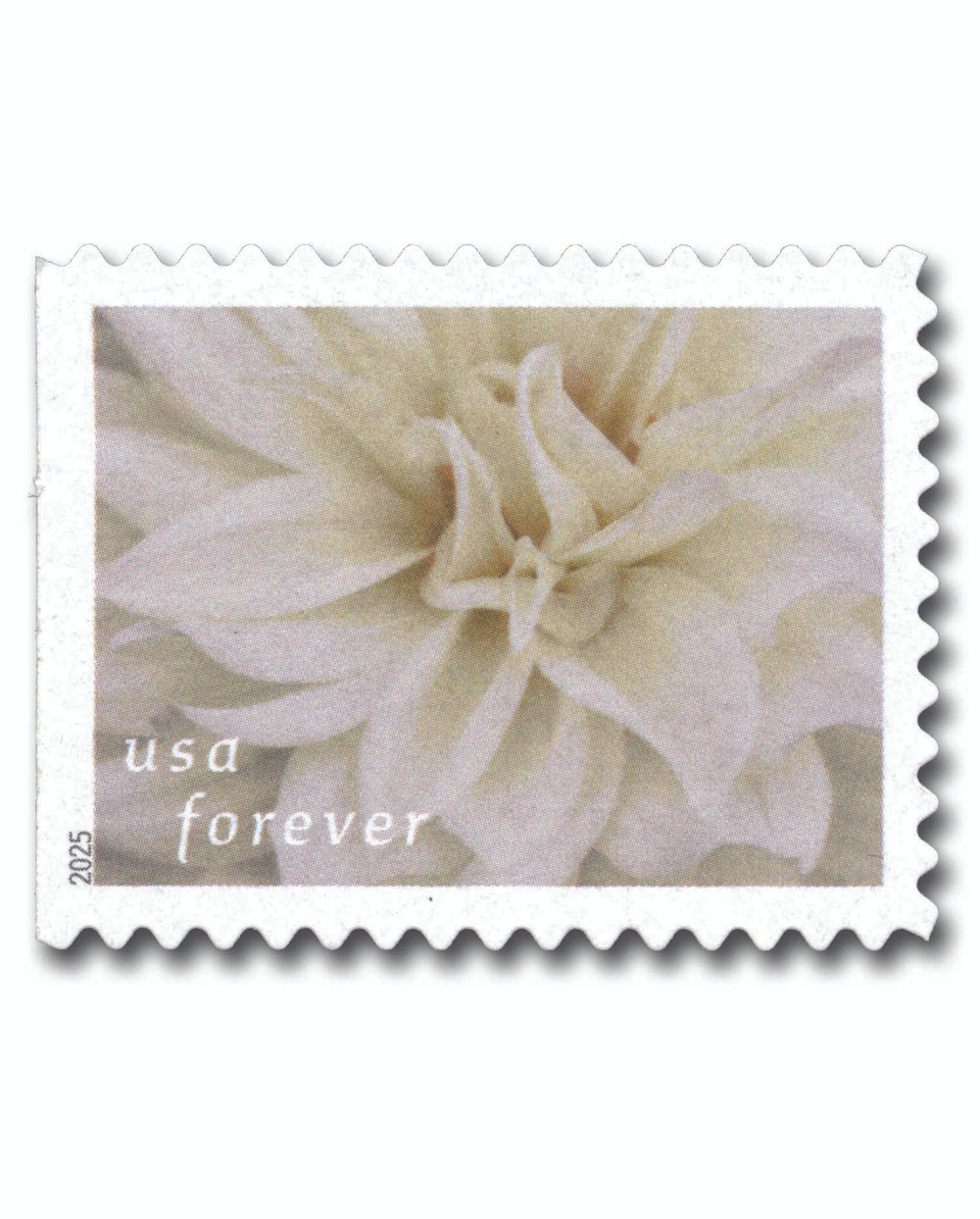 1652720 -- Mint Stamp(s) -- Mint Stamp(s)