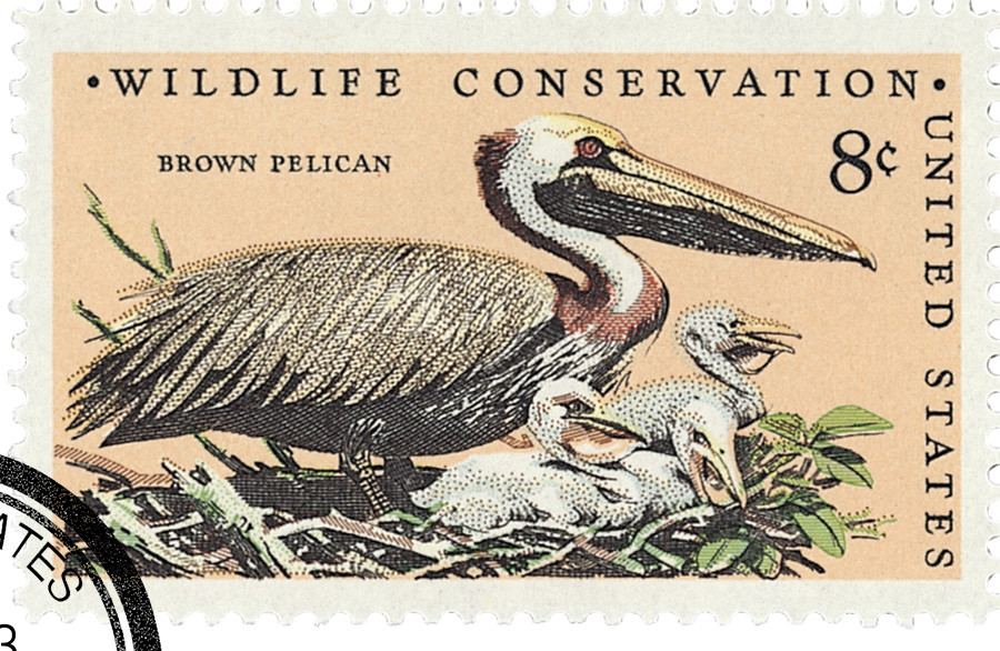 1466 - 1972 8c Wildlife Conservation: Pelican - Mystic Stamp Company