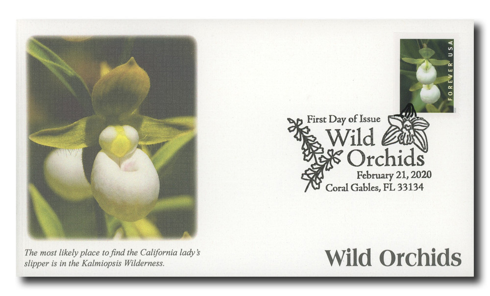 5446 - 2020 First-Class Forever Stamp - Wild Orchids (booklet