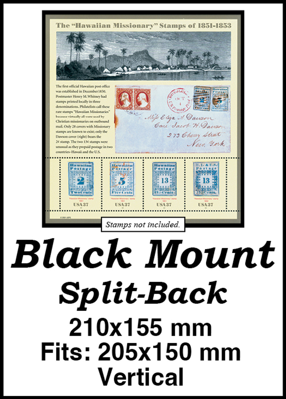 975546 -- Supply -- Supplies