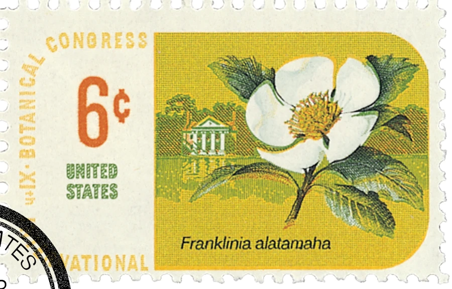 1379 - 1969 6c Botanical Congress: Franklin Tree