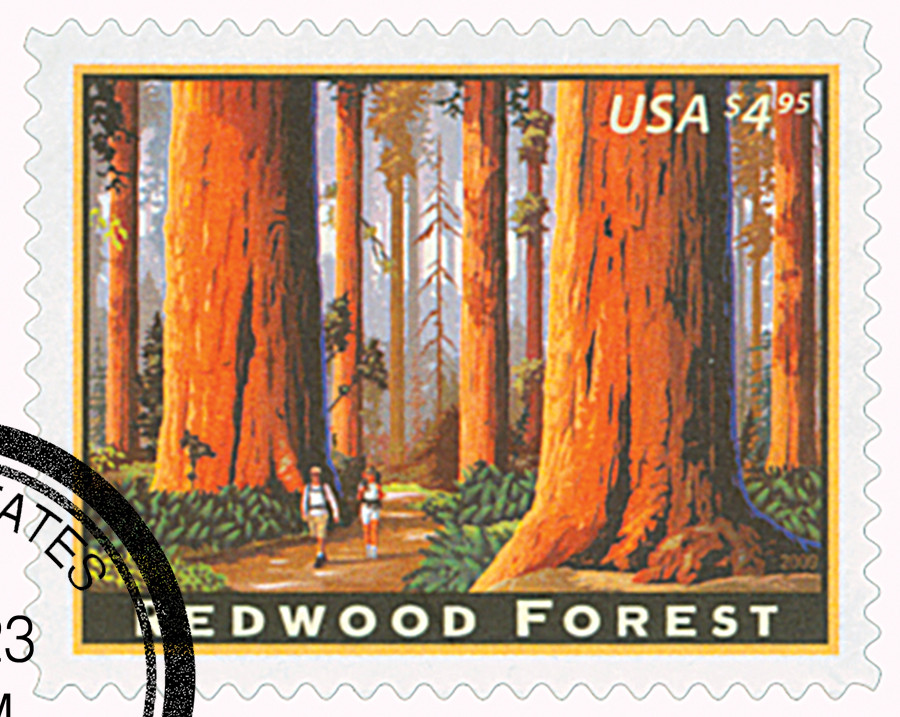 切手17 4378 - 2009 $4.95 Redwood Forest, Priority Mail - Mystic Stamp Company