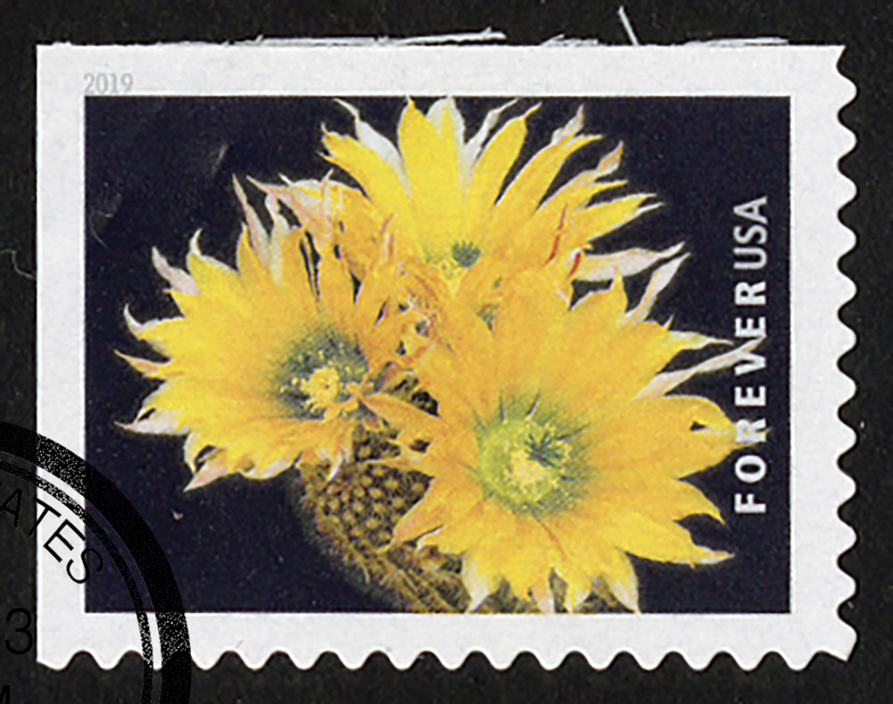 972284 -- Used Single Stamp(s) -- Used Stamp(s)