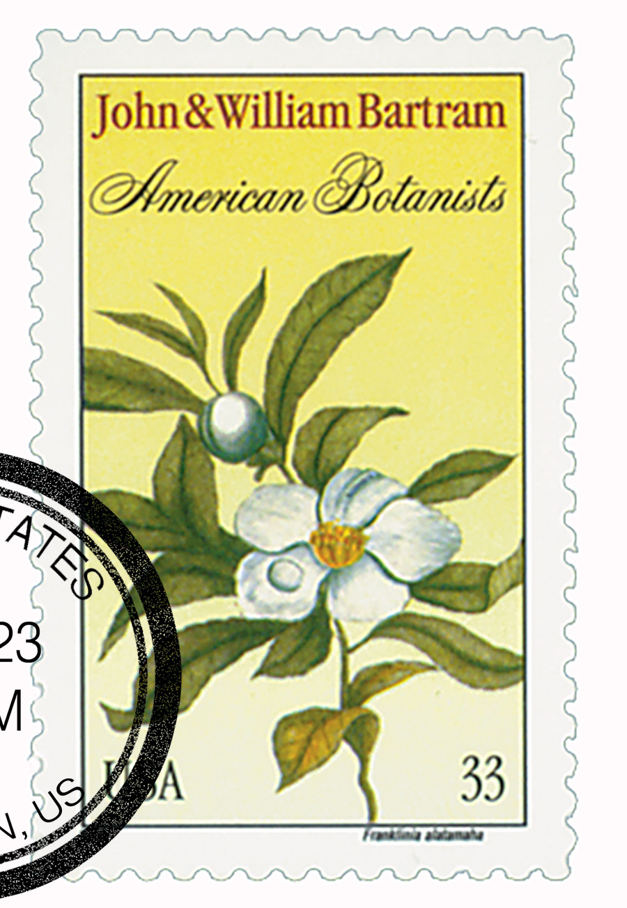 3314 - 1999 33c John & William Bartram - Mystic Stamp Company