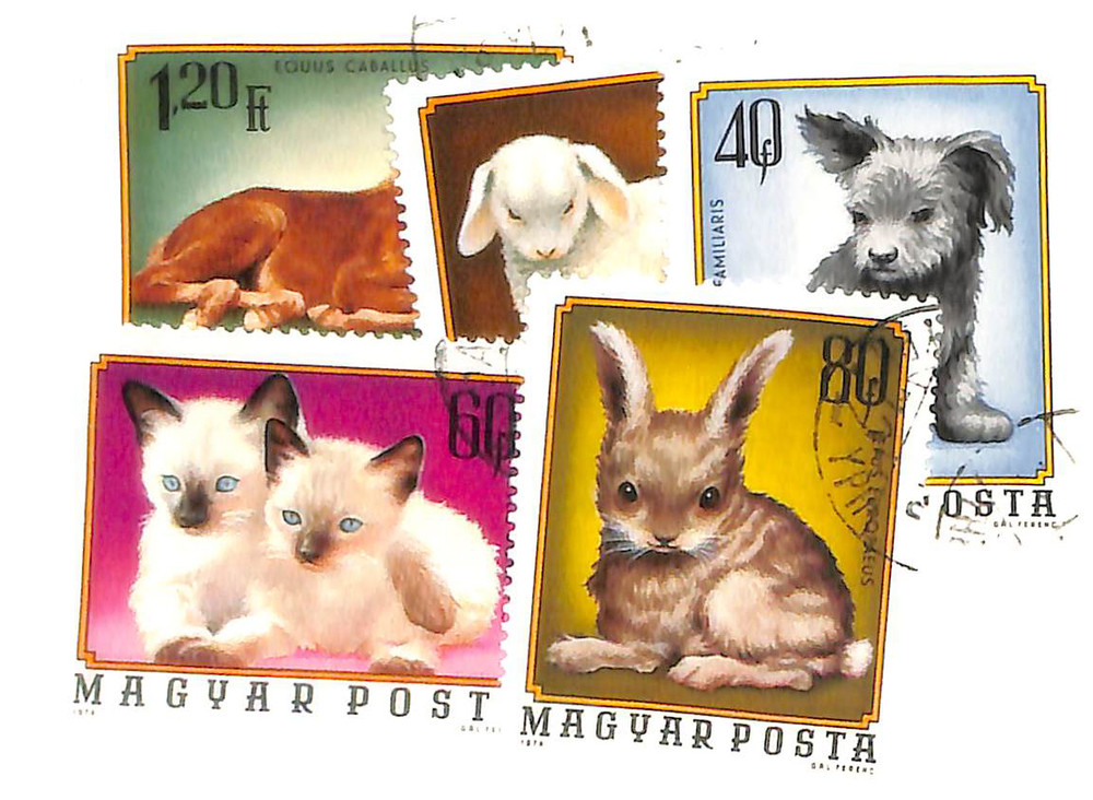 785983 -- Used Canceled Stamp(s) -- Used Stamp(s)