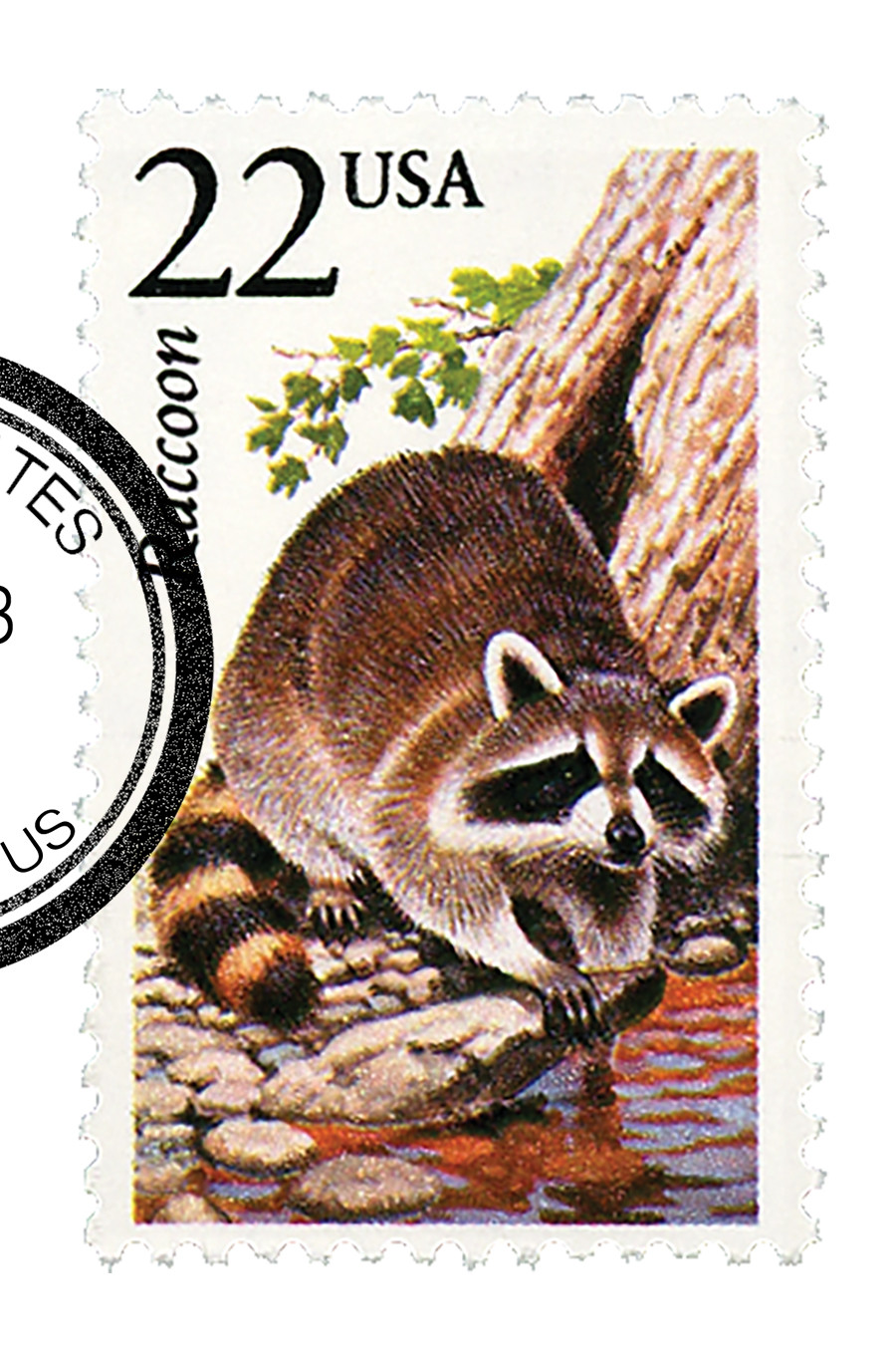 raccoonページ 2331 - 1987 22c North American Wildlife: Raccoon - Mystic Stamp