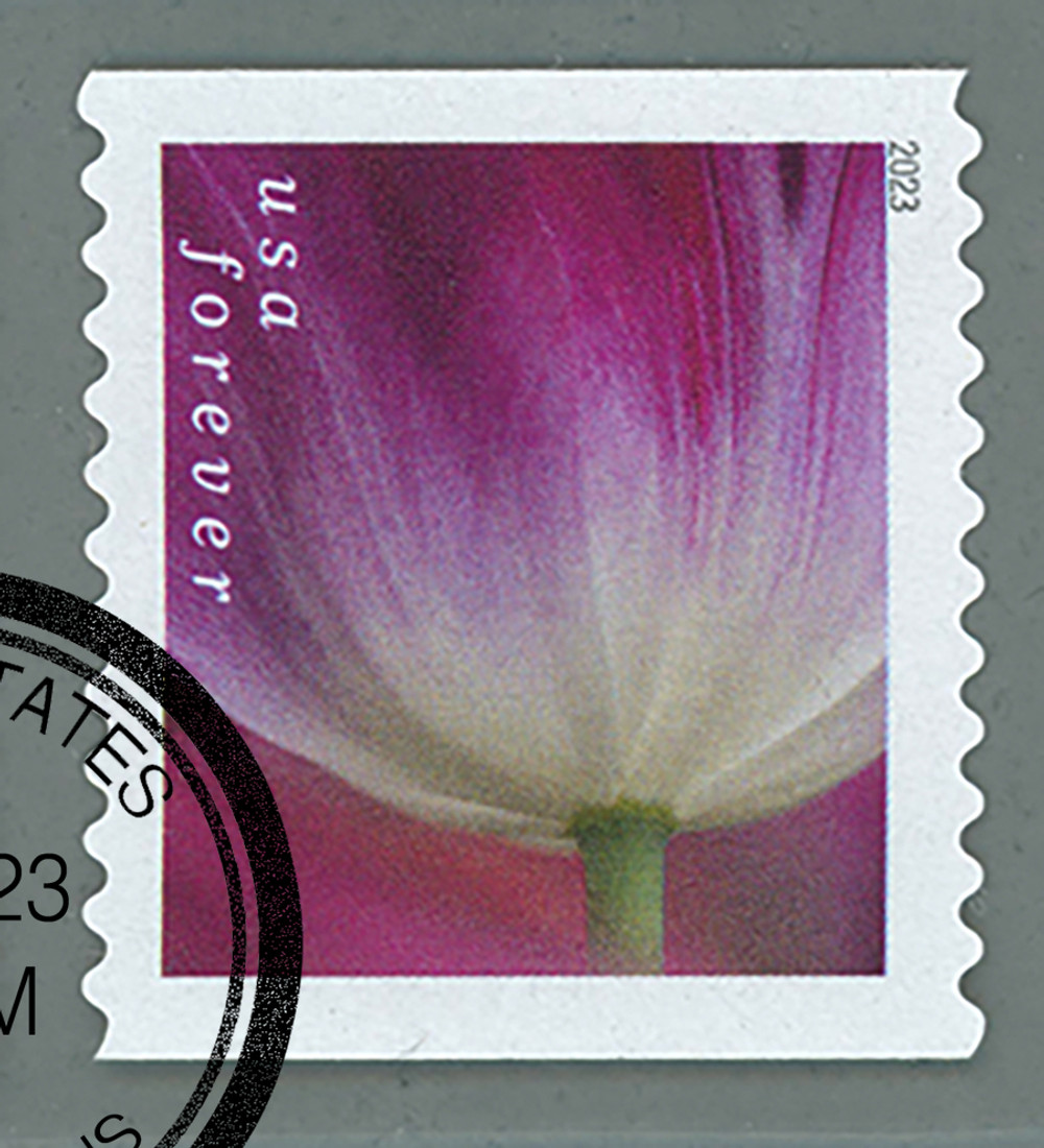 TULIPページ 5768 - 2023 First-Class Forever Stamp - Tulip Blossoms