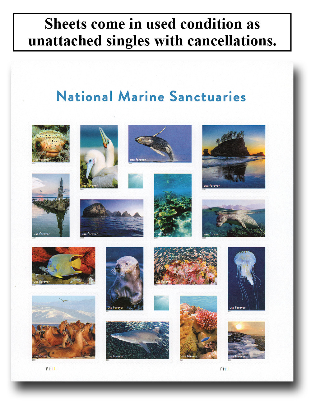 5713 - 2022 First-Class Forever Stamp - National Marine