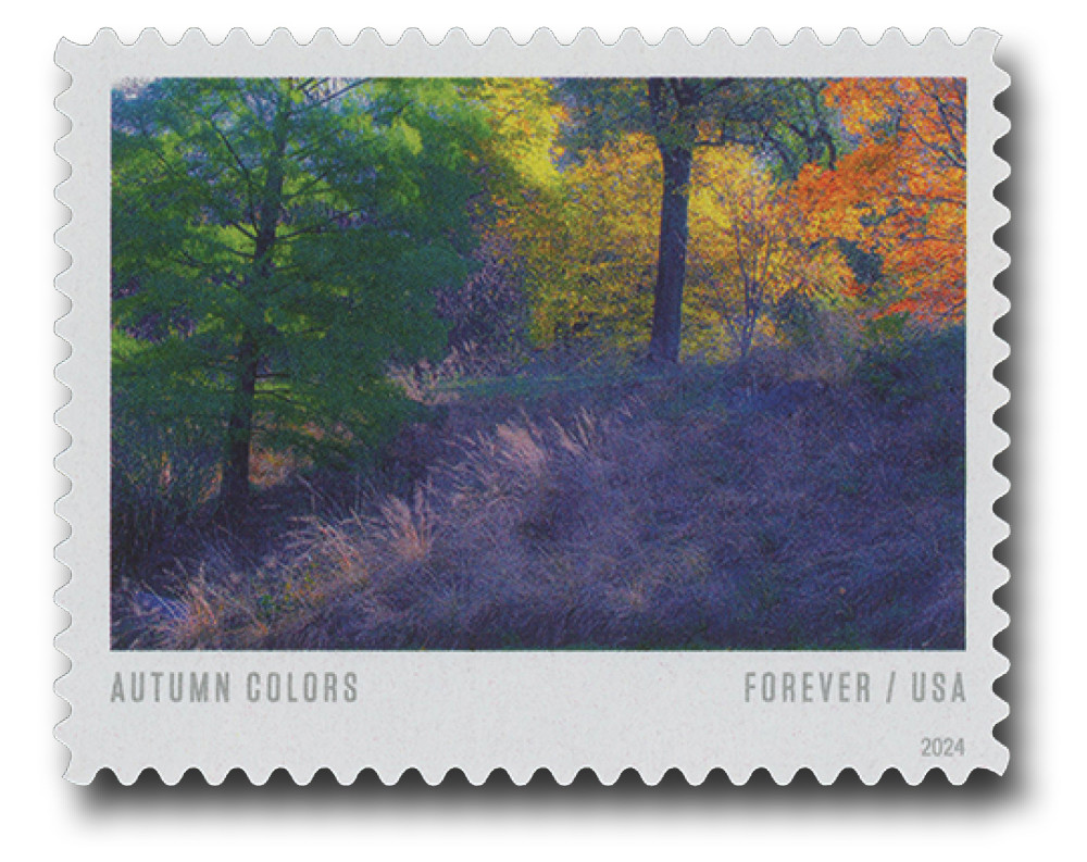 autumn様 2019 AUTUMN COLLECTION | FOUR SEASONS | 【和次元・滴や】