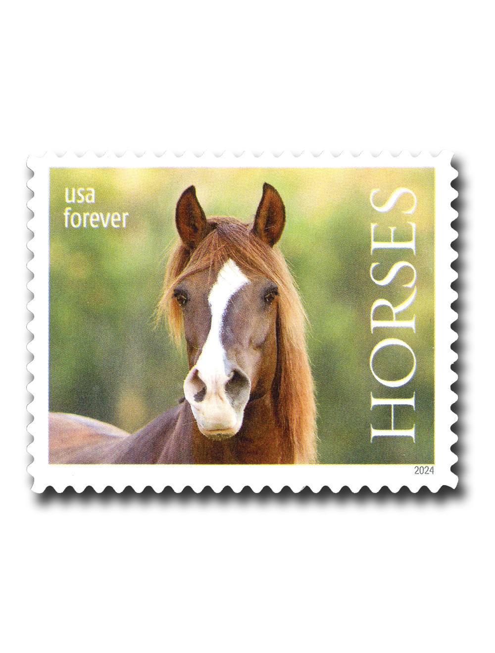 1573368 -- Mint Stamp(s) -- Mint Stamp(s)