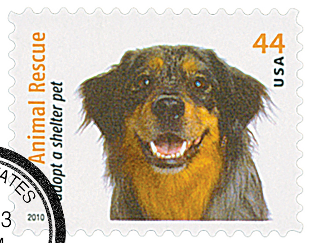 334817 -- Used Single Stamp(s) -- Used Stamp(s)