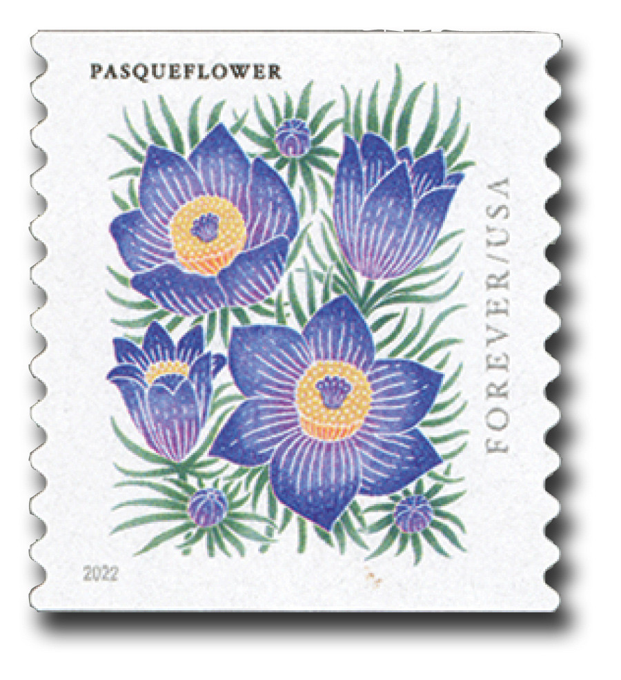 5675 - 2022 First-Class Forever Stamp - Mountain Flora (coil