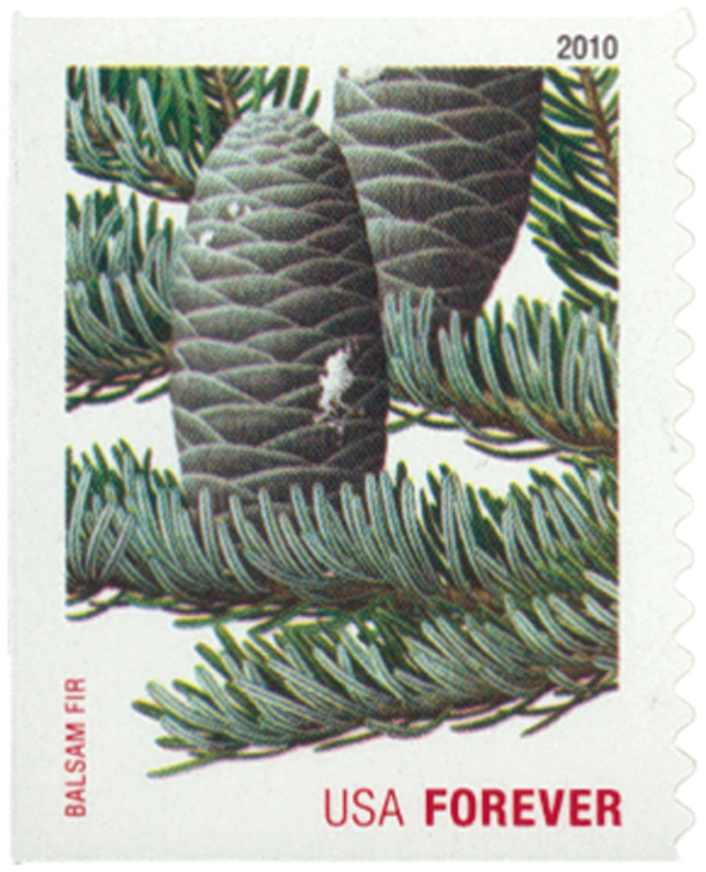 334996 -- Mint Stamp(s) -- Mint Stamp(s)