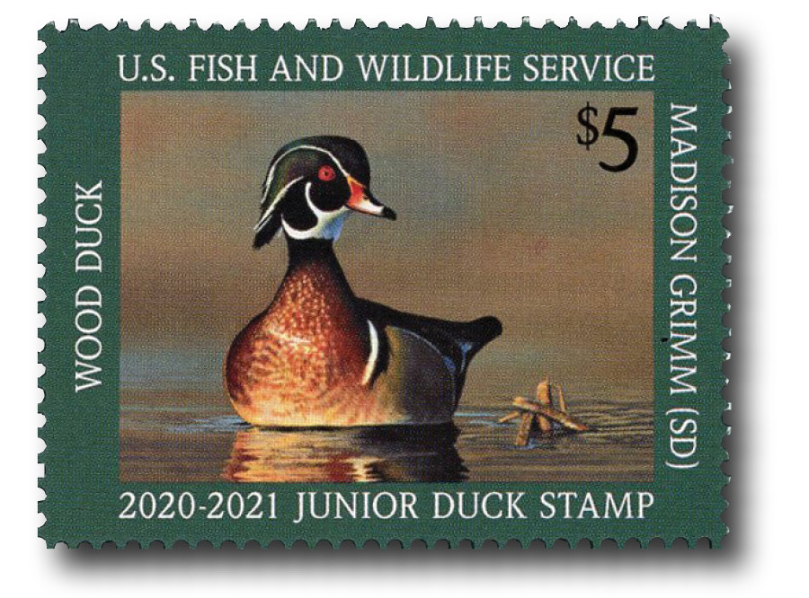 Blahrmy Duck's Moss Village dlip record