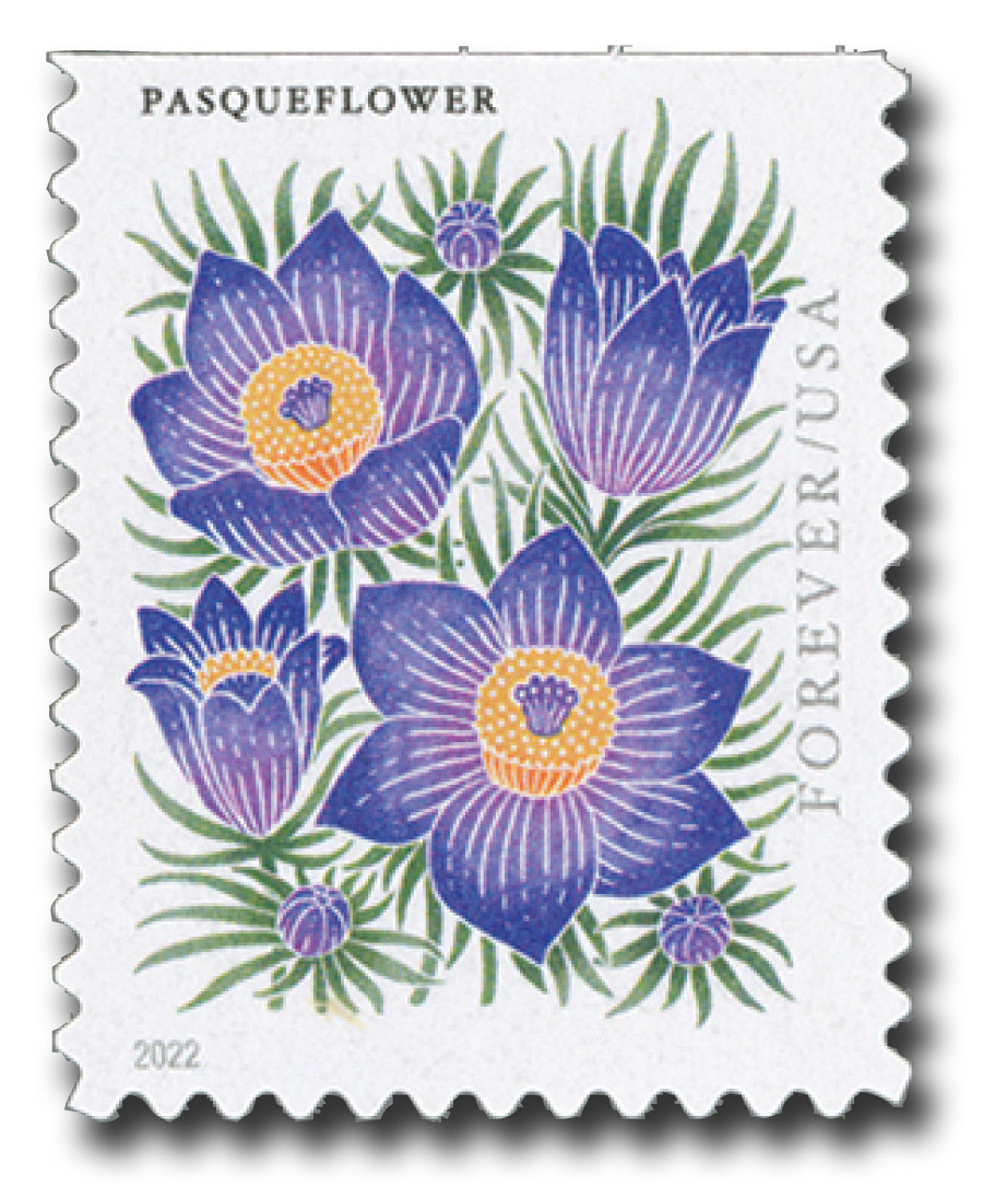 5676 - 2022 First-Class Forever Stamp - Mountain Flora (booklet