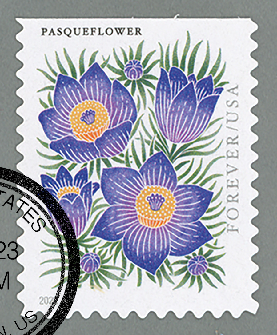 5676 - 2022 First-Class Forever Stamp - Mountain Flora (booklet