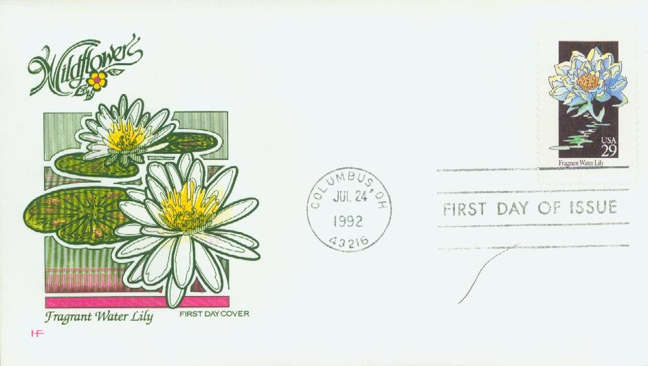 1950年代Turnerミッドセンチュリー リトグラフ プリント フラワー 1950