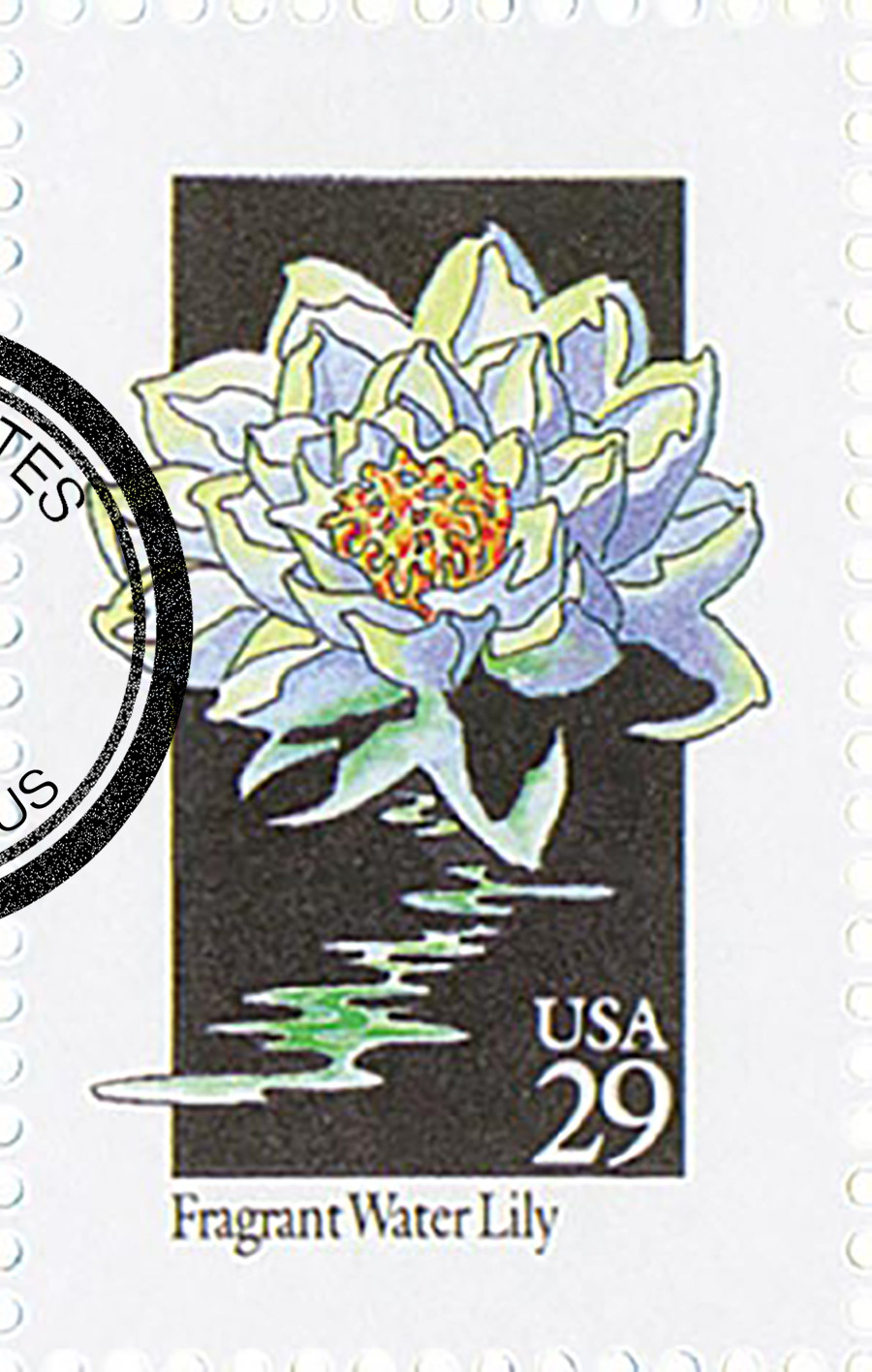 2648 - 1992 29c Wildflowers: Fragrant Water Lily - Mystic Stamp
